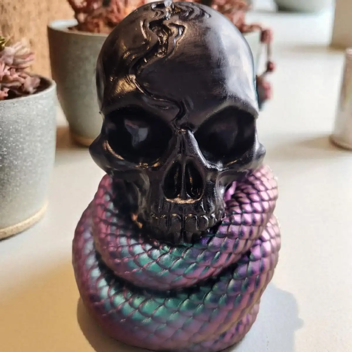 Crâne serpent enroulé