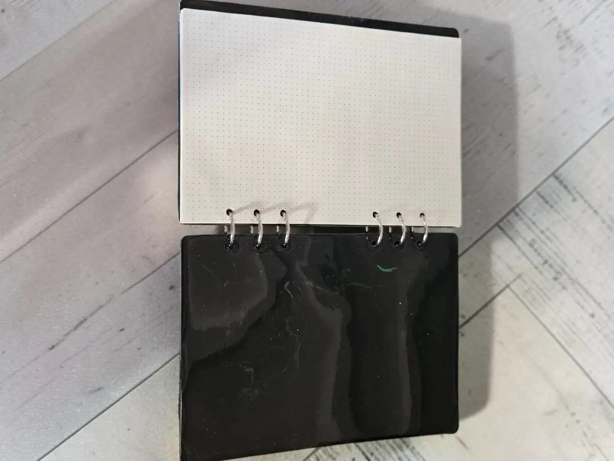 Carnet "Oeil de dragon"